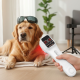 Laser Therapy Device for Dogs