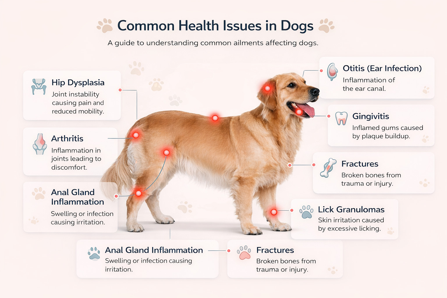 Infographic showing common health issues in dogs including hip dysplasia, arthritis, ear infection, gingivitis, fractures and lick granulomas.